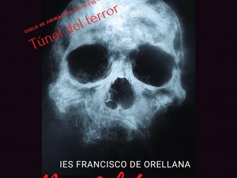 Danzando con la muerteG
