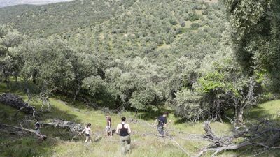 Excursion2