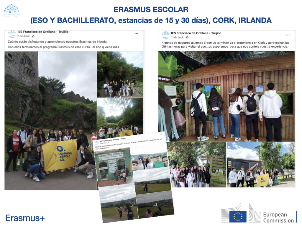 05 ERASMUS PARA WEB005